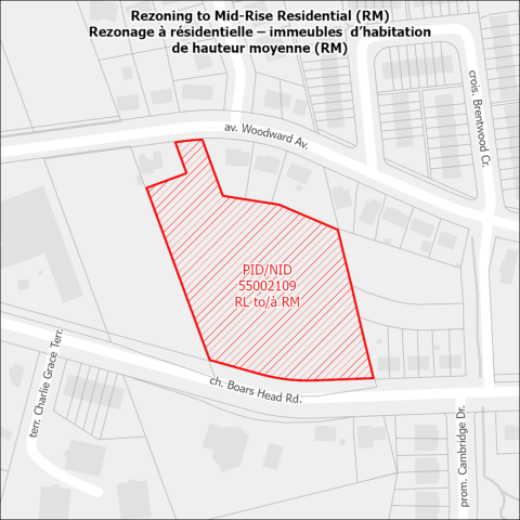 Map showing the proposed rezoning area at 421 Woodward Avenue.