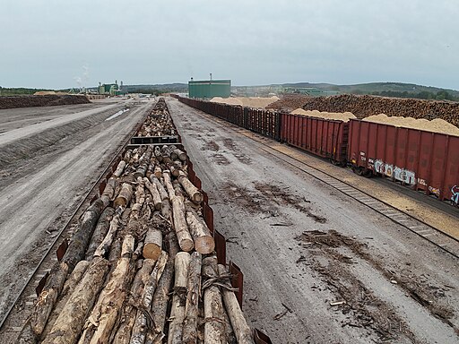 JD Irving Sawmill in St-Léonard, New Brunswick, Canada