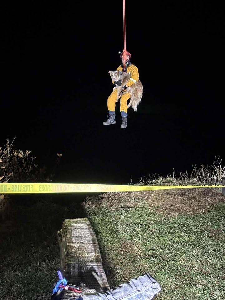 A Saint John firefighter rappelling down a cliff to rescue a dog.