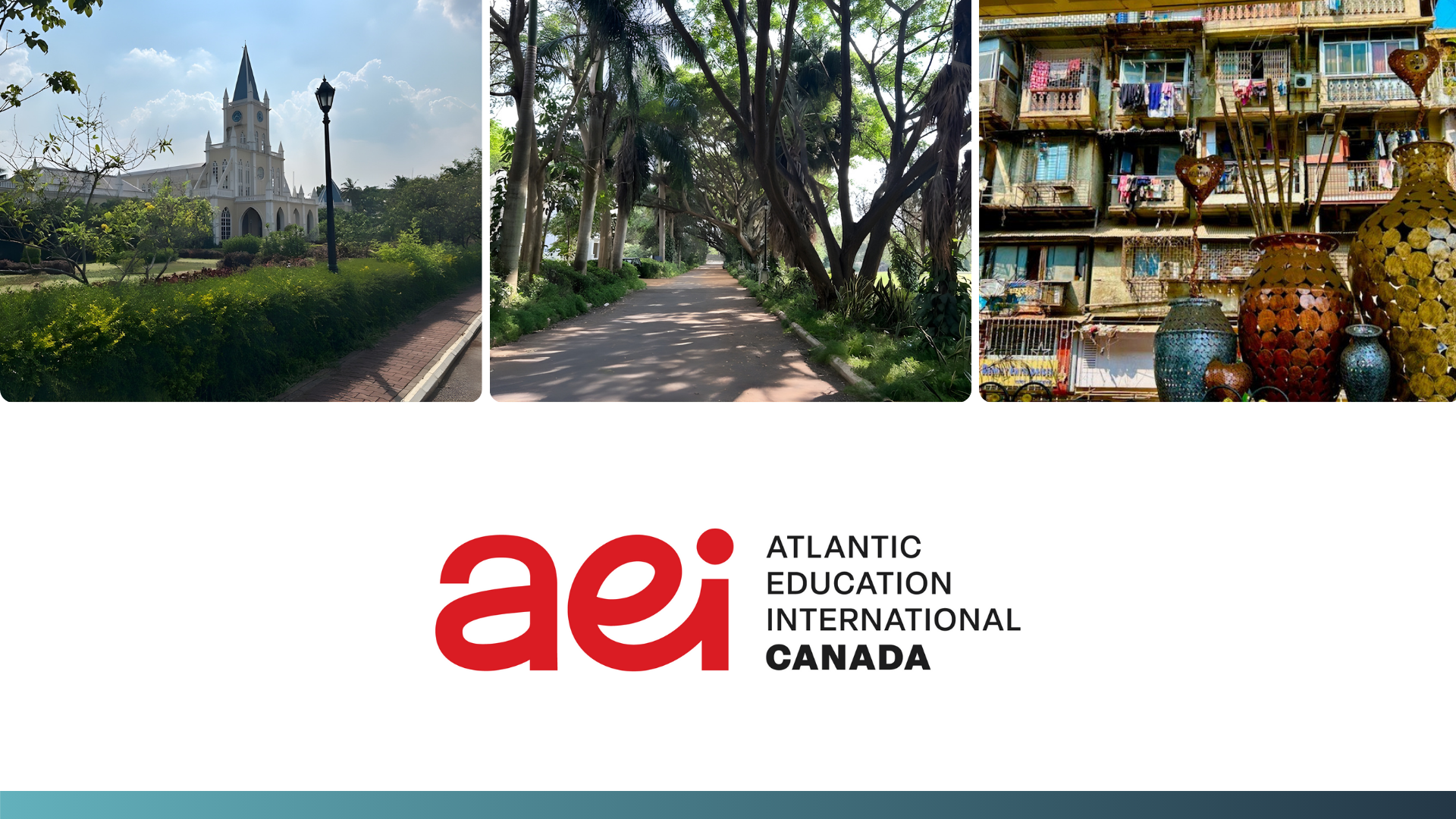 aei india trade mission