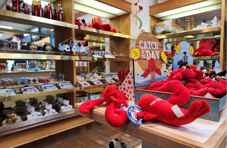Dessert and candy display at Foggy City Sweets and Souvenirs, Uptown Saint John shelves of sweets and Maritime treats