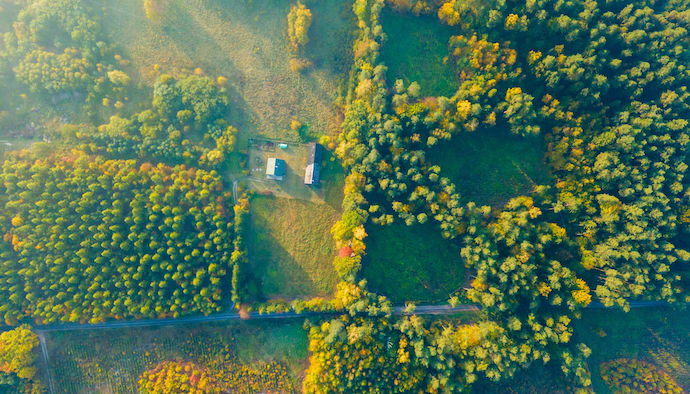 View of Saint John harbour and skyline