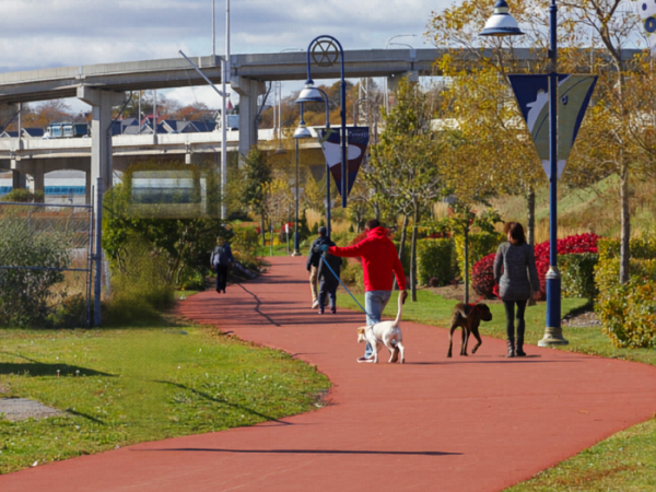 Harbour Passage Extension Project