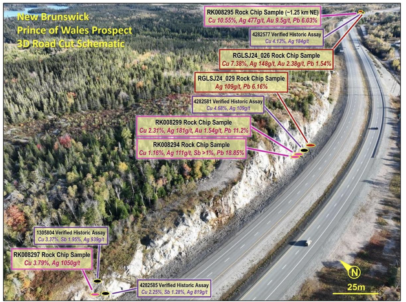 Prince of Wales Prospect roadside cutting