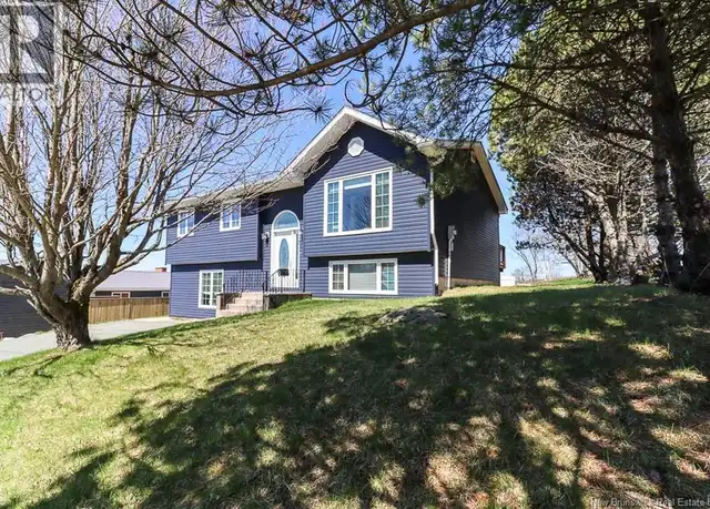 7 Dalila Crt