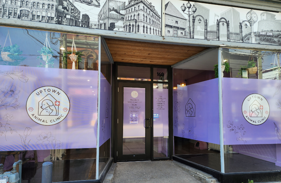 Exterior of Uptown Animal Clinic on Union Street in Uptown Saint John