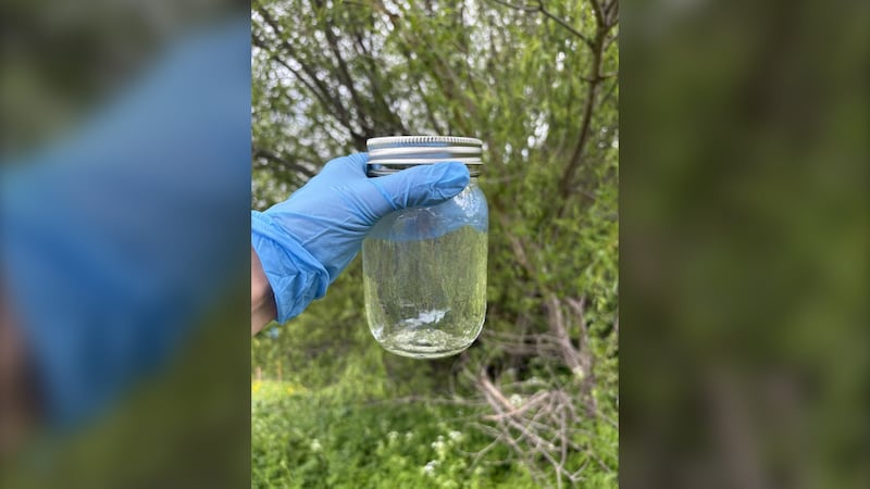 Water sample from the Hammond River watershed