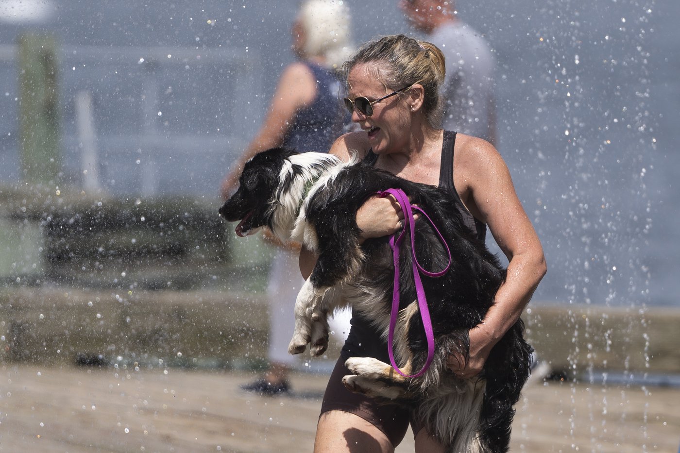 A woman carries her dog through a water fountain on the Halifax Waterfront