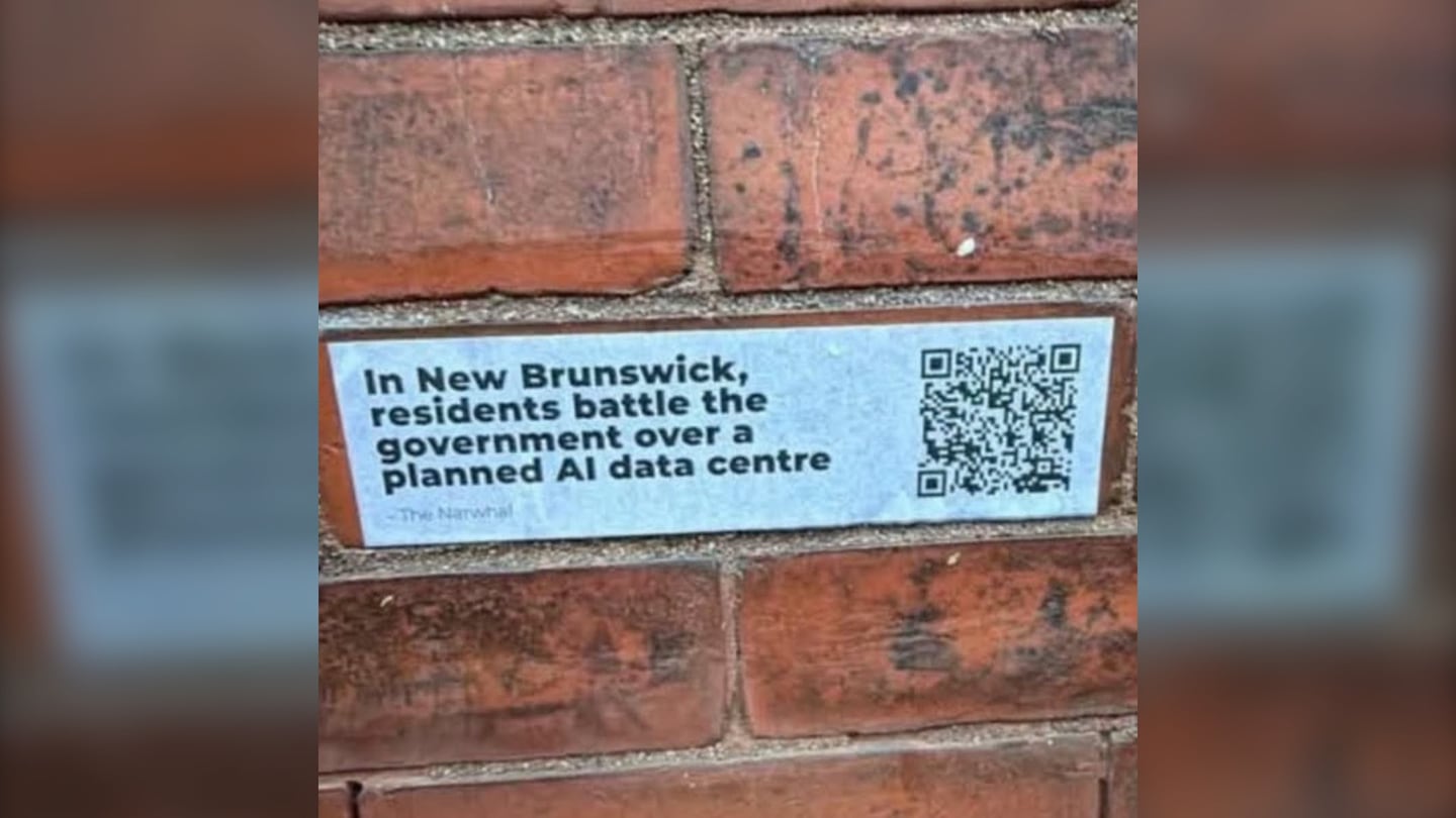 Saint John Mayor Donna Reardon is critical of signs posted on heritage buildings.