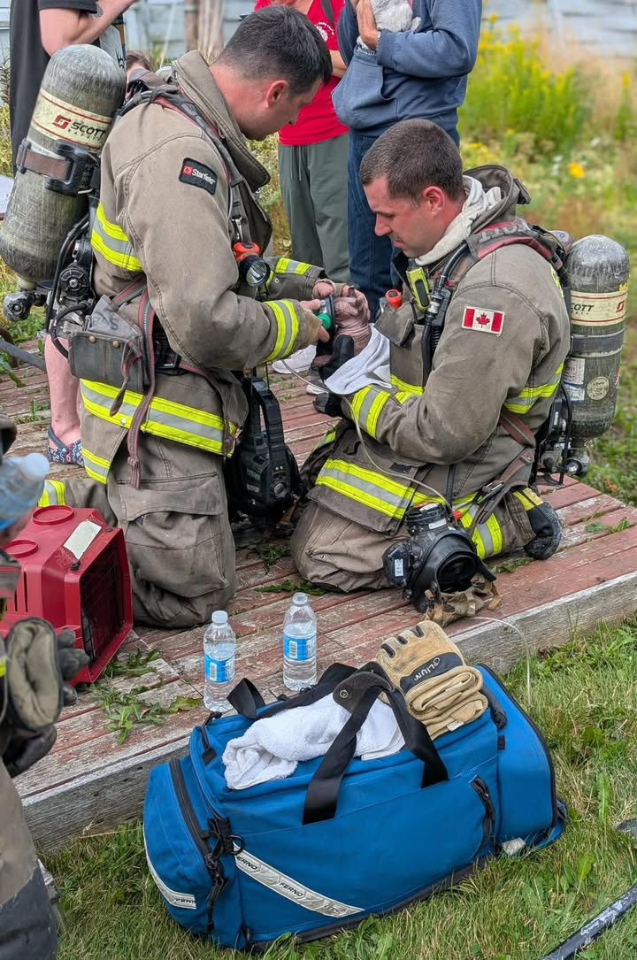 Saint John firefighter holding a rescued cat