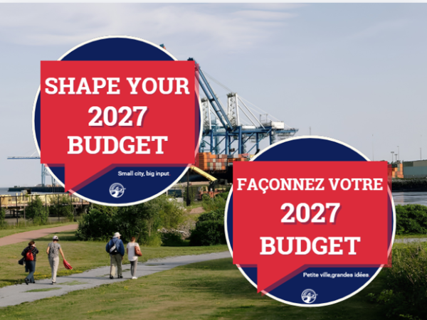 Shape Your Budget