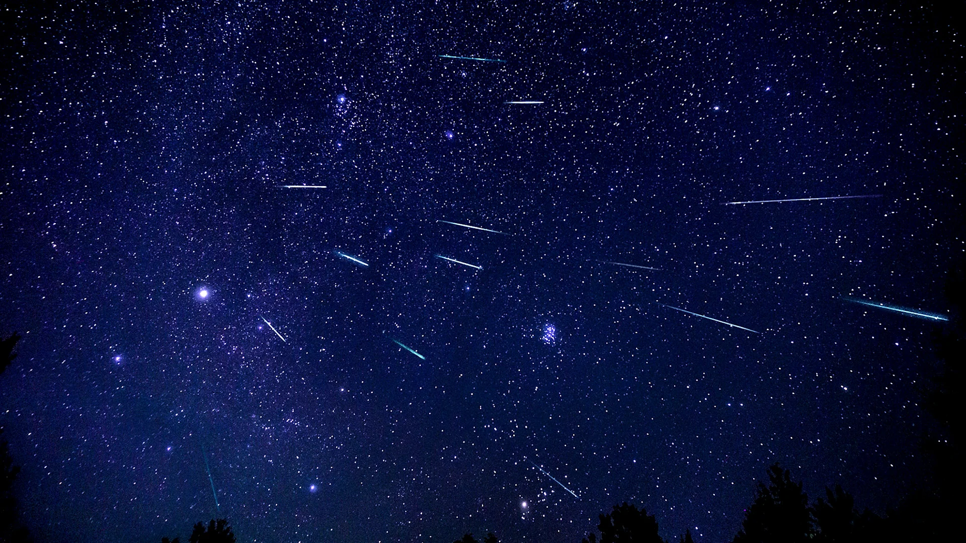 Perseid meteors spotted during the shower peak from New Brunswick in 2021