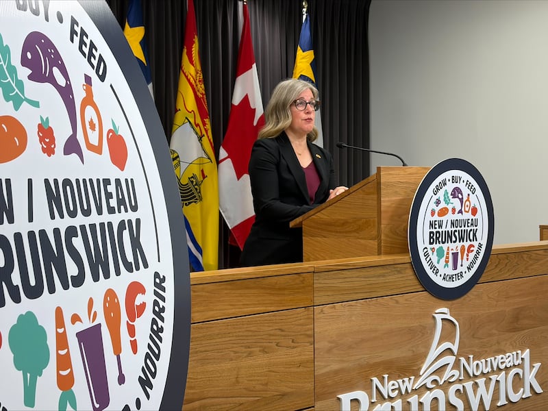New Brunswick Premier Susan Holt