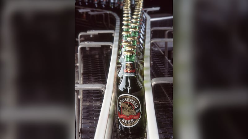 Moosehead beer bottles on a production line