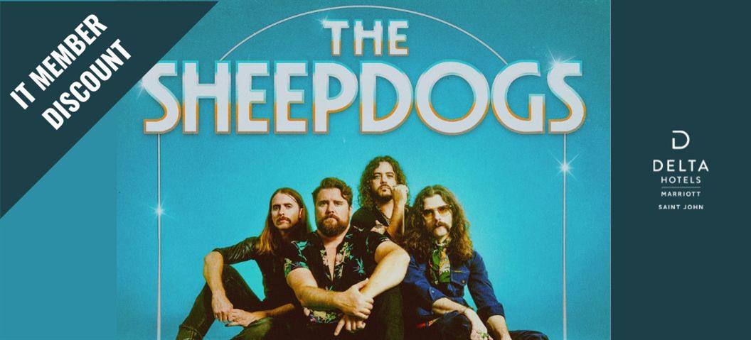 The Sheepdogs